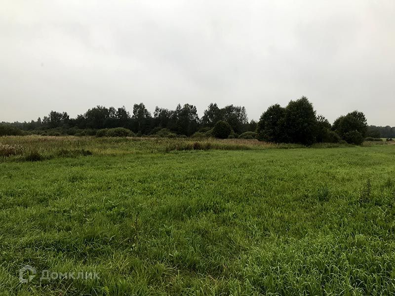 земля городской округ Талдомский деревня Береговское фото 4