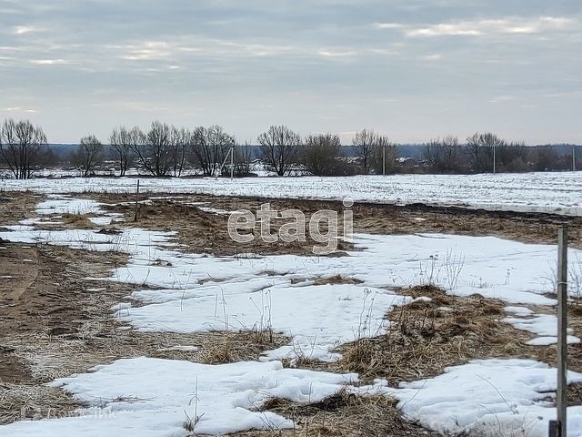 земля р-н Выгоничский с Палужье пер Луговой фото 2