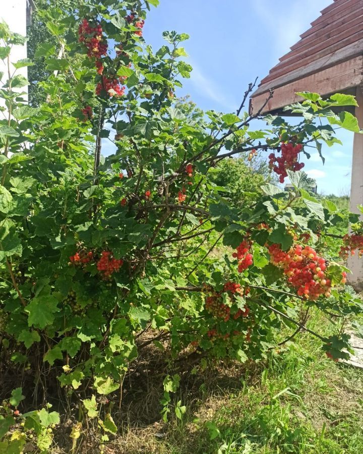 дом г Тобольск фото 3