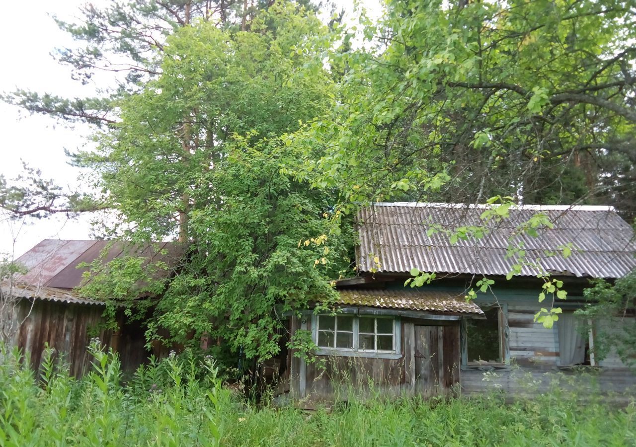 земля г Киров р-н Октябрьский СДТ Пригородное фото 4