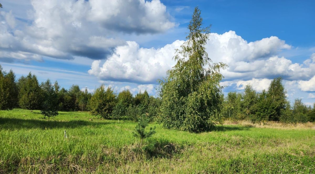 Продам земля сельхозназначения в районе Заокском Малаховское муниципальное  образование, Солнечные дали кп 14.0 сот 850000 руб база Олан ру объявление  101559684