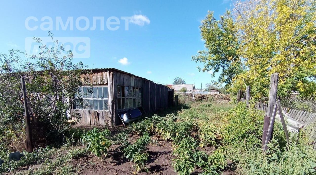 дом р-н Соль-Илецкий с Дружба ул Школьная 12 Соль-Илецкий городской округ фото 24