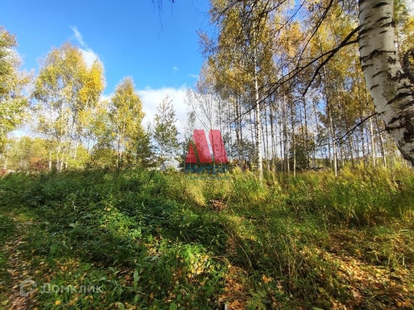 земля г Ярославль Заволжский район, СНТ Сельхозтехника-1 фото 1