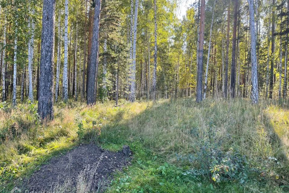 земля г Асбест тер садоводческое товарищество ЖБИК Полевской городской округ, Надежда, 12-я улица, 26 фото 1