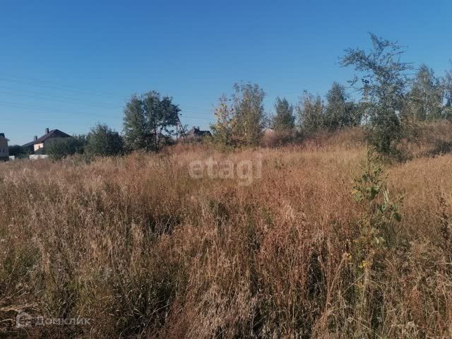 земля р-н Рамонский с Чистая Поляна ул Юбилейная фото 4