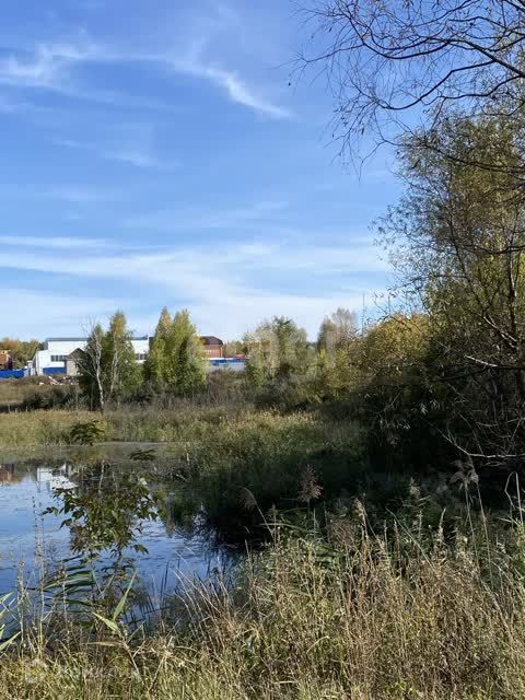 земля г Ульяновск д Протопоповка ул Заречная городской округ Ульяновск фото 4