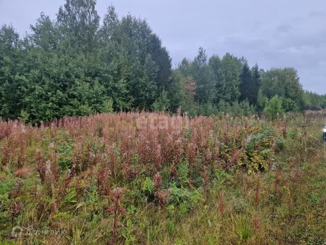 земля г Кушва Кушвинский городской округ, садово-дачное товарищество Энергетик-2 фото 2