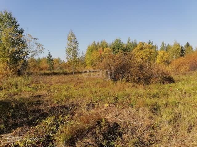 земля г Кушва Кушвинский городской округ, садово-дачное товарищество Энергетик-2 фото 3