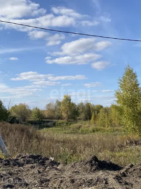 земля г Ульяновск д Протопоповка ул Заречная городской округ Ульяновск фото 6