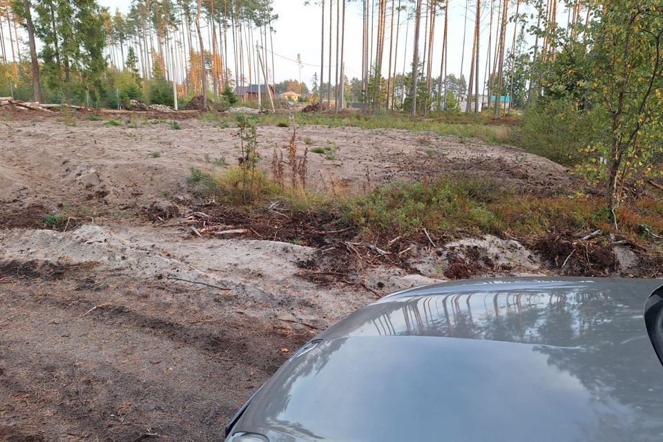 земля г Сосновый Бор ул Ореховая Сосновоборский городской округ фото 4