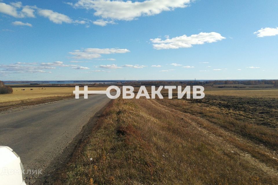земля р-н Ордынский с Новопичугово ул Школьная фото 5