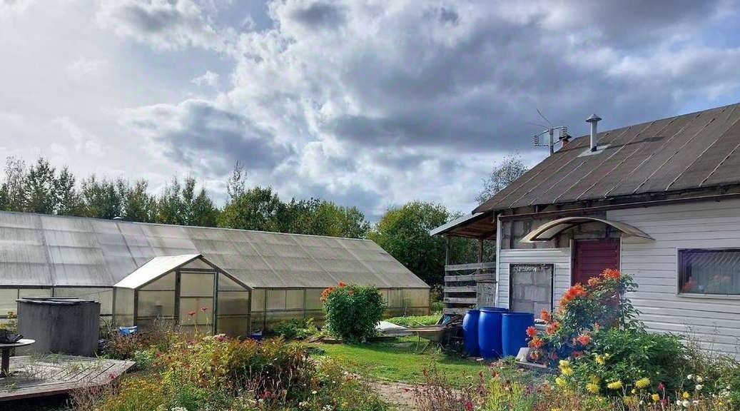 дом р-н Новгородский д Мшага Савинское с/пос, 8 фото 4