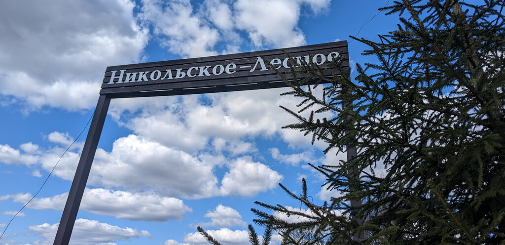 земля г Солнечногорск ул Лучевая коттеджный посёлок Никольское-Лесное фото 3