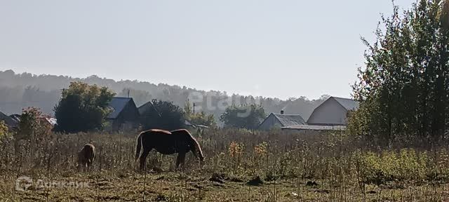 земля с Топки ул Заречная фото