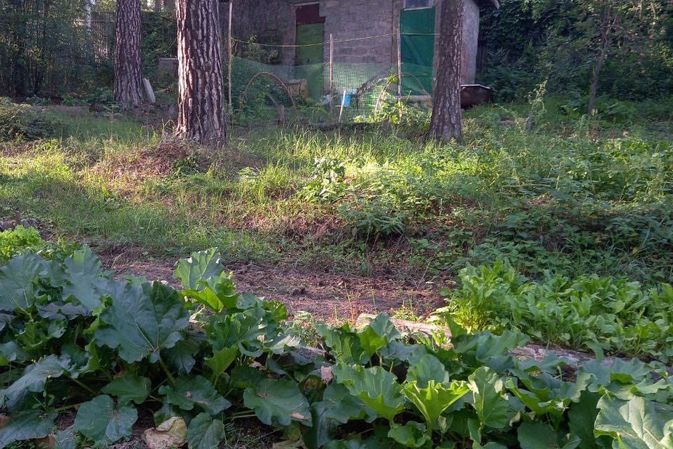 дом г Екатеринбург Екатеринбург, Южная улица, муниципальное образование фото 3