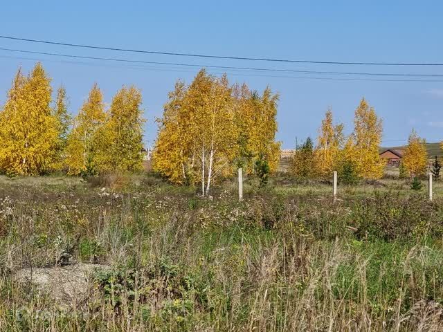 дом р-н Чебаркульский д Малково ул Восток-2 фото 1