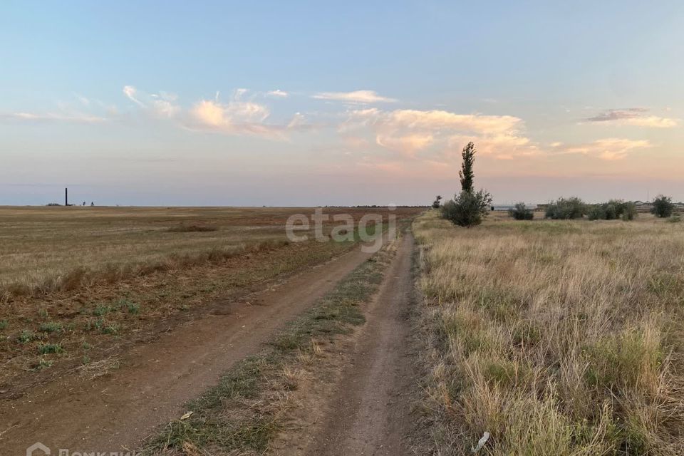 земля р-н Сакский село Орехово фото 1