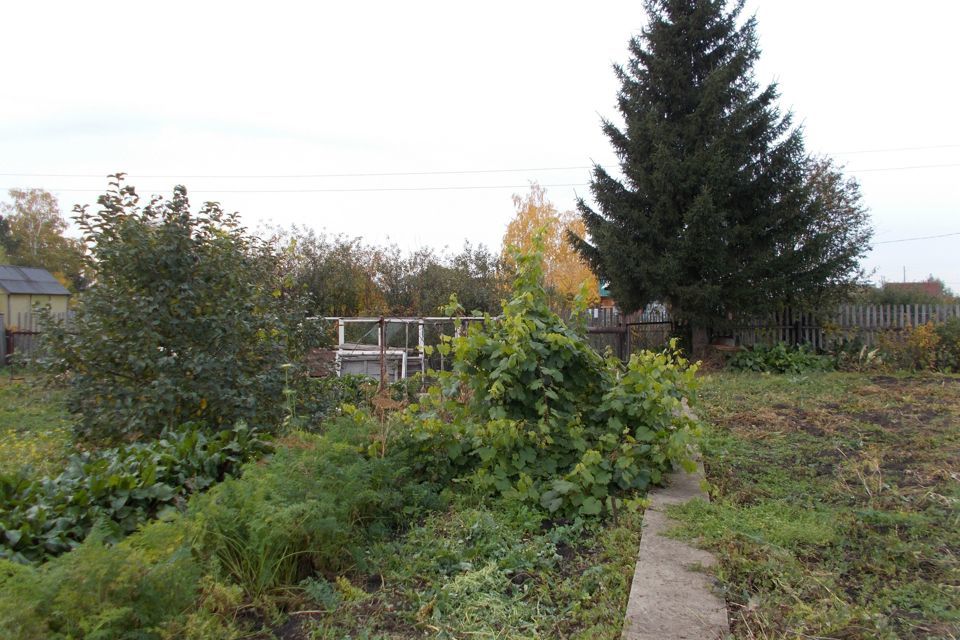 дом г Омск городской округ Омск, территория СОСН Урожай-1 фото 7