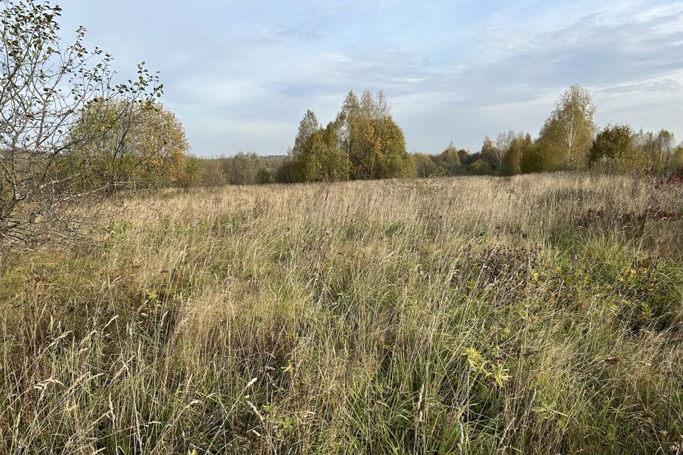 земля р-н Александровский деревня Дуденево фото 10