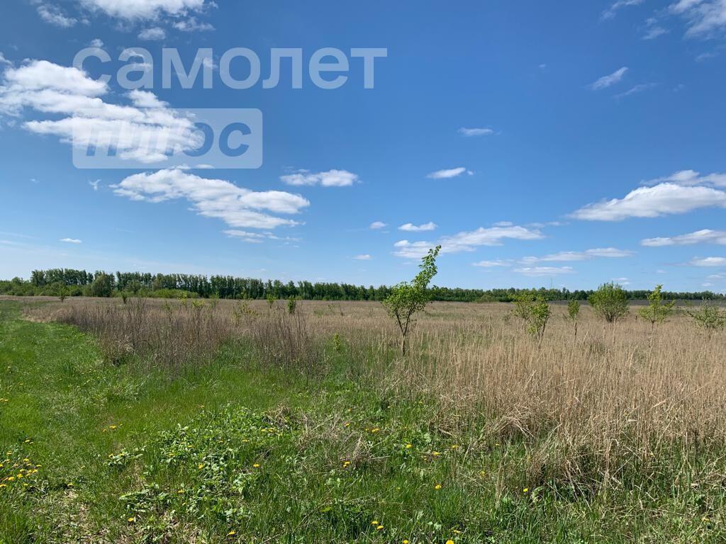 земля р-н Бессоновский с Бессоновка сельсовет, улица Адмирала И. Г. Святова, 40 фото 4