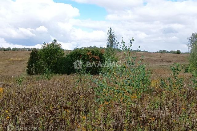 земля ул Берёзная городской округ Владимир фото