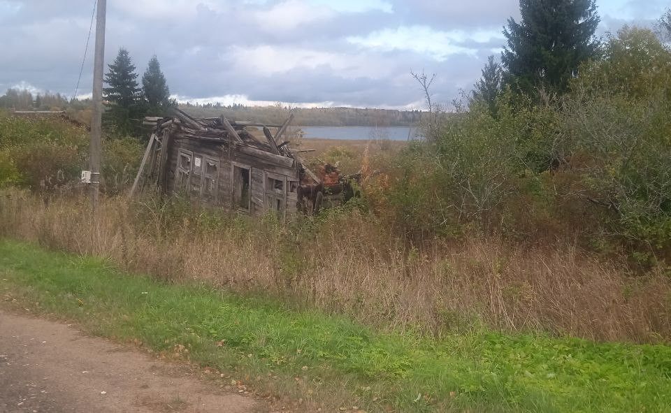 земля р-н Валдайский д Ивантеево ул Центральная фото 3