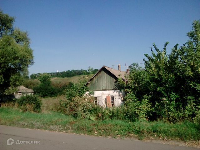 село Пушкарное фото