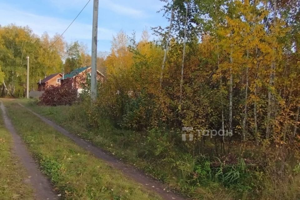 земля г Копейск Копейский городской округ, СНТ Берёзка-4 фото 7