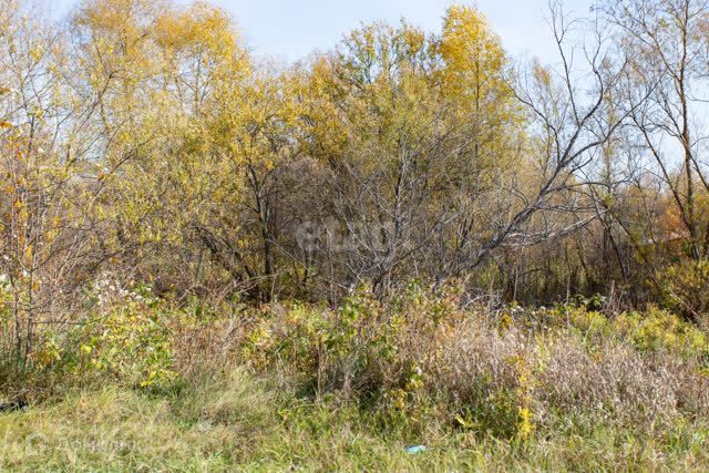 земля г Тобольск район ДОЗа, городской округ Тобольск фото 7