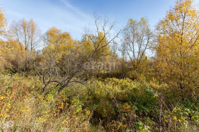 земля г Тобольск район ДОЗа, городской округ Тобольск фото 8