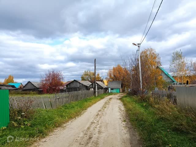 земля р-н Тобольский деревня Медведчикова фото 8