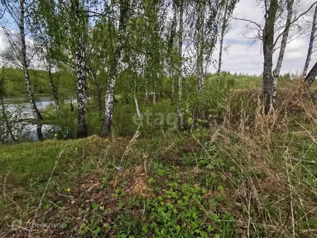 земля городской округ Домодедово деревня Красное фото 2