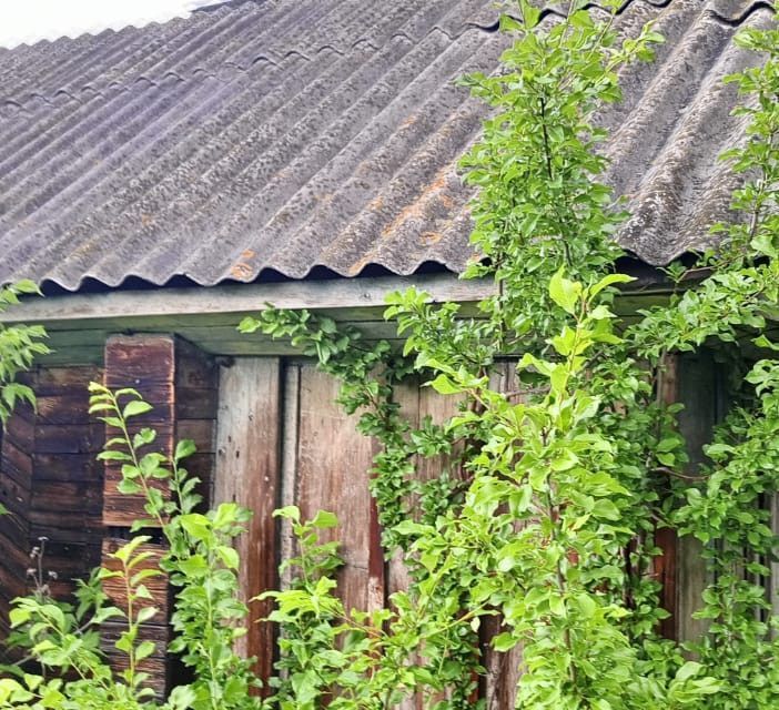 земля г Мыски снт Калинка ул Док Мысковский городской округ фото 3