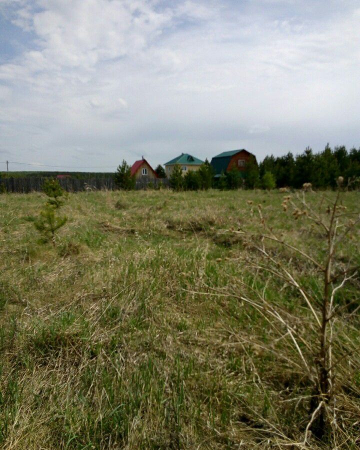 земля р-н Белоярский с Камышево Двуреченск фото 4