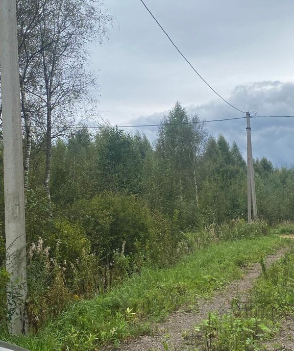 земля городской округ Талдомский д Приветино ул Олимпийская фото 6