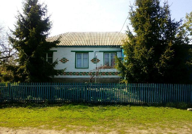 с Верхние Апочки Верхнерагозецкий сельсовет, Белгородская область, Троицкий фото