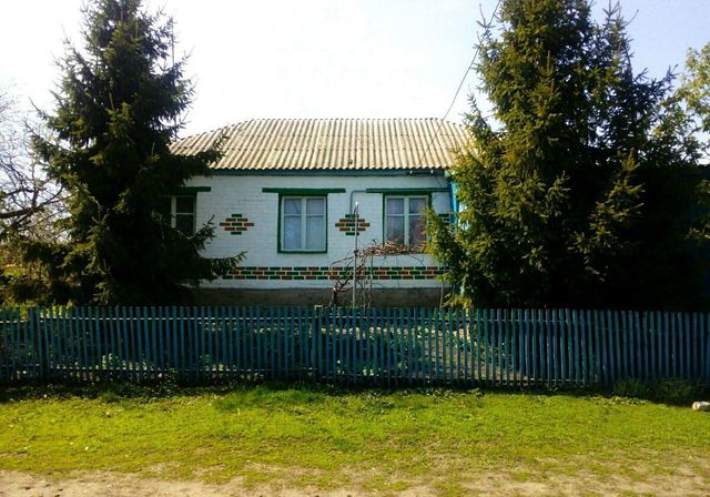дом с Верхние Апочки Верхнерагозецкий сельсовет, Белгородская область, Троицкий фото