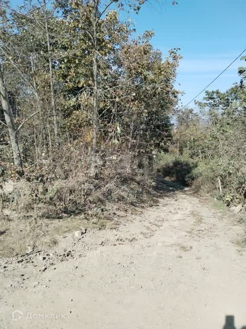 земля Владивостокский городской округ, дачный массив Синяя Сопка, СНТ Жемчужина фото 4