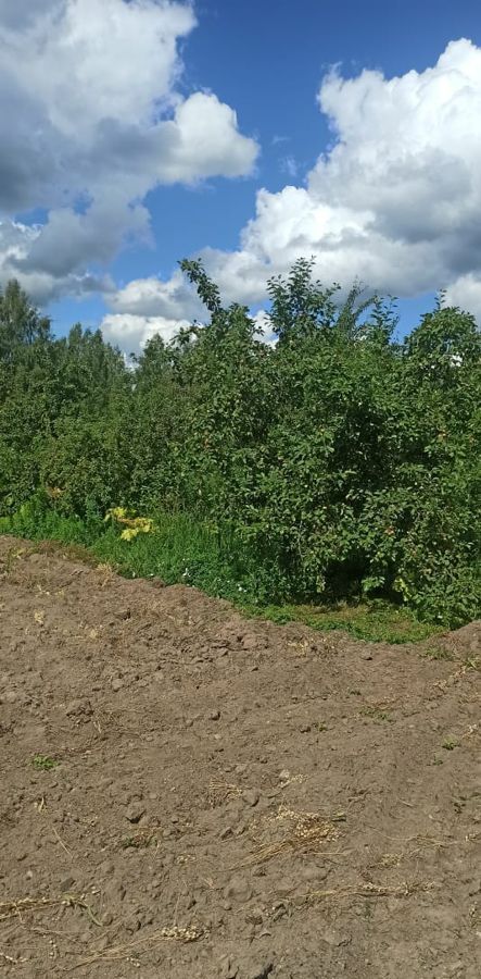 дом городской округ Клин г Высоковск д. Новиково, г. о. Клин фото 10