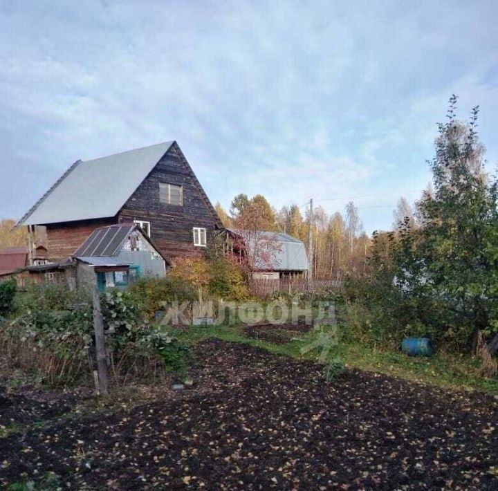 земля р-н Томский Надежда-1 садовое товарищество фото 1