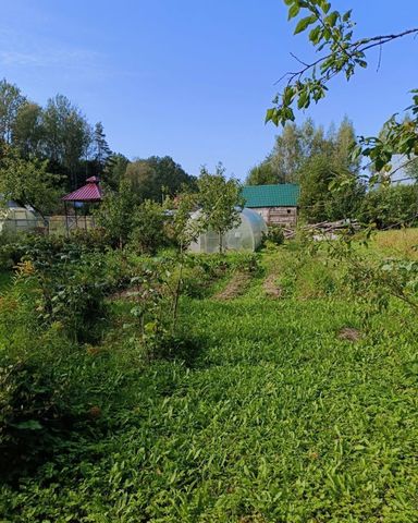 земля Хохловское сельское поселение, 92, Смоленск, Белые росы фото