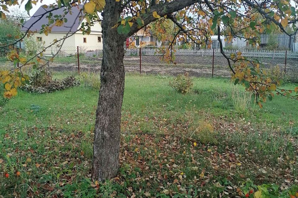 земля г Октябрьский городской округ Октябрьский, садоводческое некоммерческое товарищество Росинка фото 2