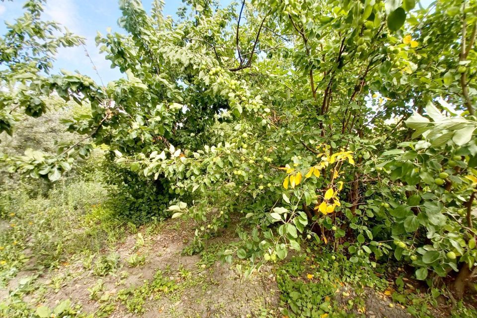 дом г Курган городской округ Курган, СНТ Дружба КЗКТ фото 5