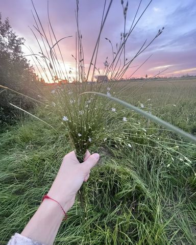 ул Молодёжная Борковское сельское поселение, Панковка фото