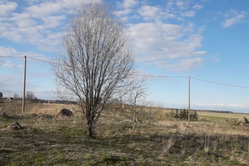 земля р-н Волосовский деревня Бегуницы фото 6