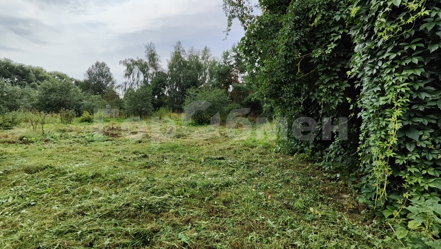 дом городской округ Раменский д Ждановское фото 5