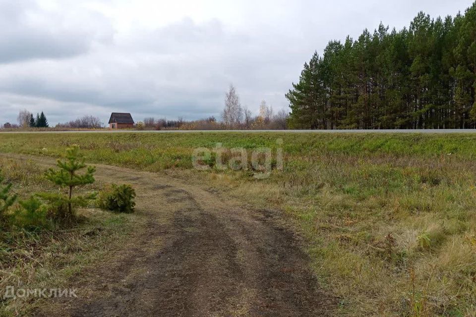 земля р-н Камышловский село Галкинское фото 10