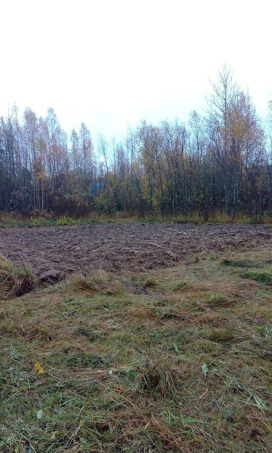 земля р-н Вельский г Вельск Усть-Вельское, СОТ Телешиха, муниципальное образование фото 5