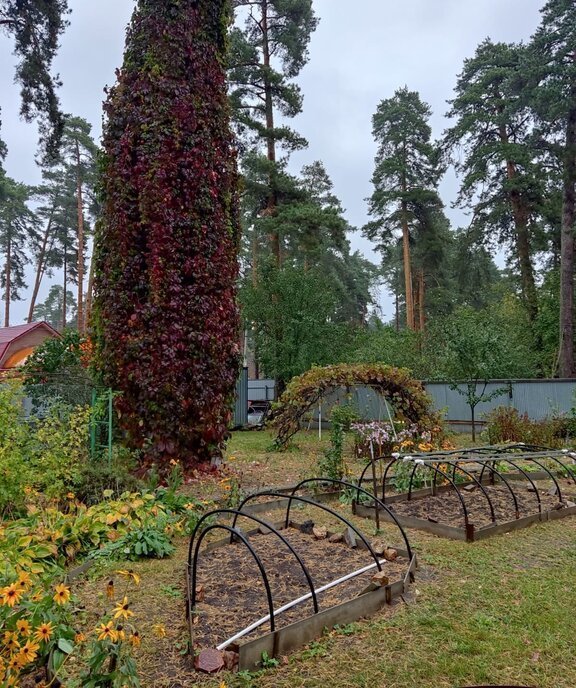 земля городской округ Люберцы рп Малаховка ул Чайковского Некрасовка фото 3