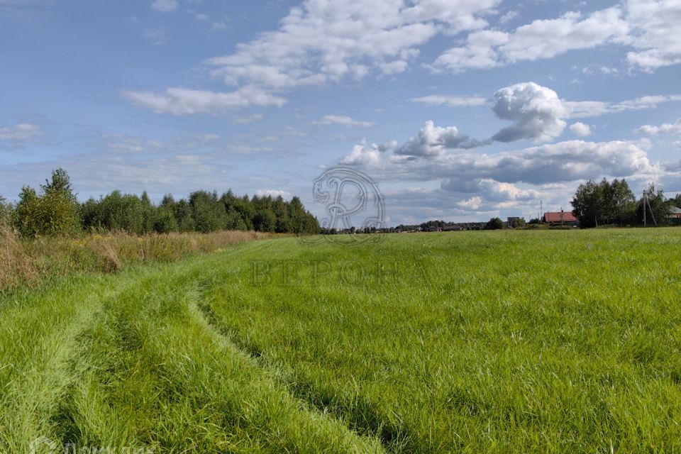 земля городской округ Богородский фото 1